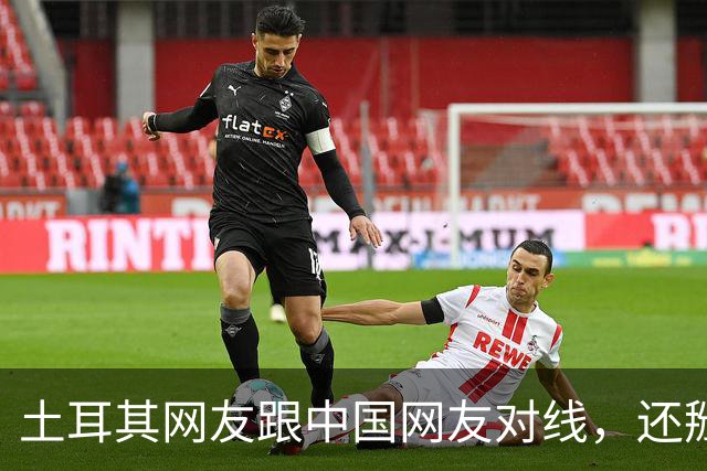 土耳其网友跟中国网友对线，还掰扯突厥人历史，他们怎么敢的？